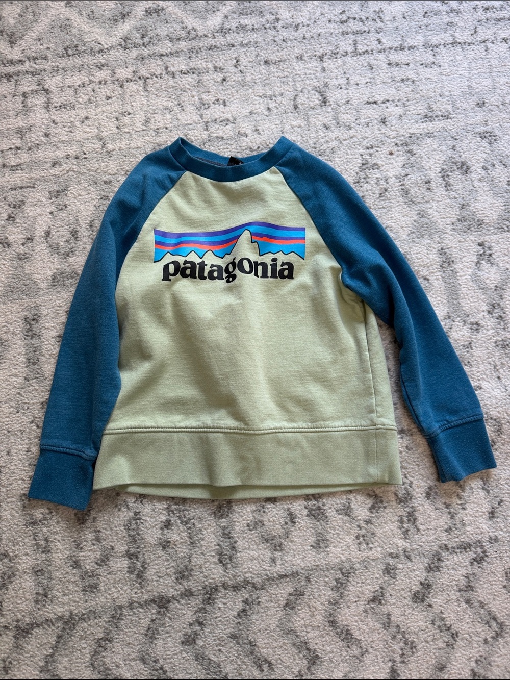 Boys Patagonia Two-Tone Crewneck Sweatshirt in Sage and Teal